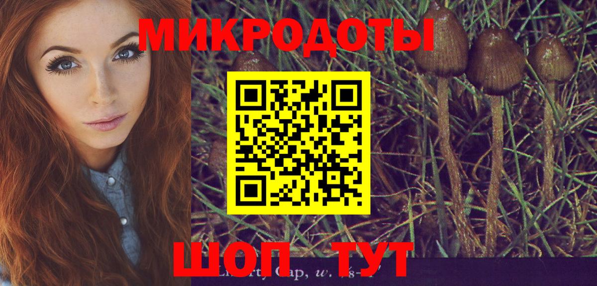 наркотики  Галлюциногенные грибы MAGIC MUSHROOMS  Вход с VPN  Галлюциногенные грибы мицелий  Камышлов 